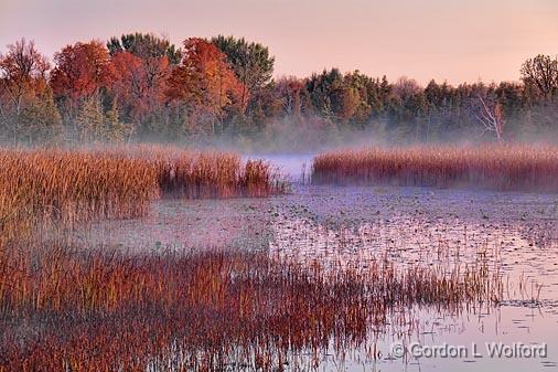 Misty Marsh At Sunrise_23893.jpg - Photographed along Otter Creek near Smiths Falls, Ontario, Canada.